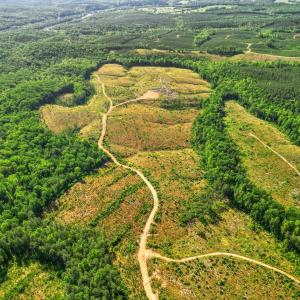Photo #18 of 4040 Norwood Road, Gladstone, VA 405.2 acres