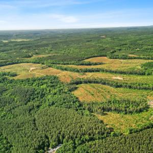 Photo #20 of 4040 Norwood Road, Gladstone, VA 405.2 acres
