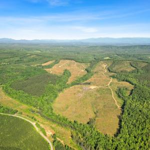Photo #8 of 4040 Norwood Road, Gladstone, VA 405.2 acres