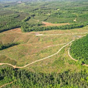 Photo #16 of 4040 Norwood Road, Gladstone, VA 405.2 acres