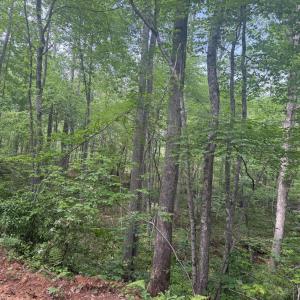 Photo #62 of 4040 Norwood Road, Gladstone, VA 405.2 acres