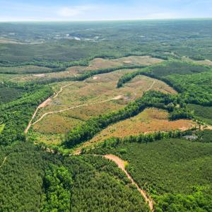 Photo #27 of 4040 Norwood Road, Gladstone, VA 405.2 acres