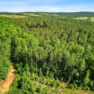 Photo #48 of 4040 Norwood Road, Gladstone, VA 405.2 acres