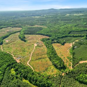 Photo #26 of 4040 Norwood Road, Gladstone, VA 405.2 acres
