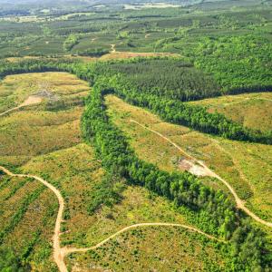 Photo #17 of 4040 Norwood Road, Gladstone, VA 405.2 acres