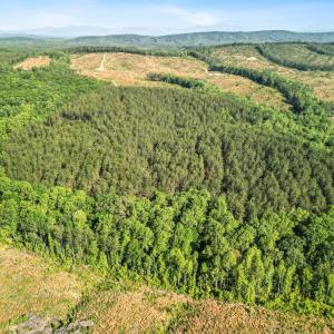 Photo #13 of 4040 Norwood Road, Gladstone, VA 405.2 acres