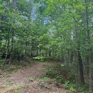 Photo #59 of 4040 Norwood Road, Gladstone, VA 405.2 acres