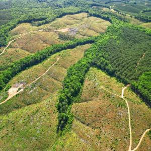 Photo #29 of 4040 Norwood Road, Gladstone, VA 405.2 acres