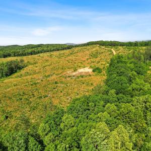 Photo #42 of 4040 Norwood Road, Gladstone, VA 405.2 acres