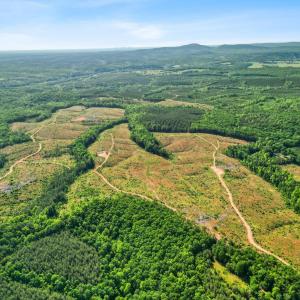 Photo #24 of 4040 Norwood Road, Gladstone, VA 405.2 acres