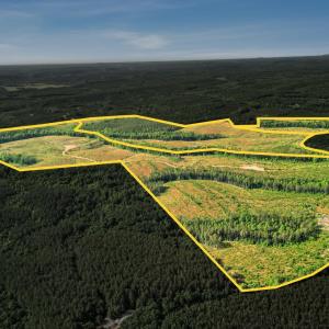 Photo #19 of 4040 Norwood Road, Gladstone, VA 405.2 acres
