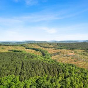 Photo #2 of 4040 Norwood Road, Gladstone, VA 405.2 acres