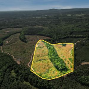 Photo #1 of 4042 Norwood Road, Gladstone, VA 39.0 acres