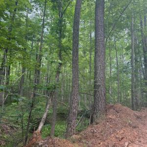 Photo #13 of 4608 Norwood Road, Gladstone, VA 158.6 acres