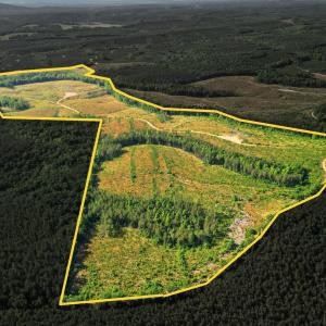 Photo #1 of 5150 Norwood Road, Gladstone, VA 207.6 acres