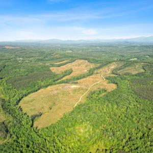 Photo #10 of 5150 Norwood Road, Gladstone, VA 207.6 acres