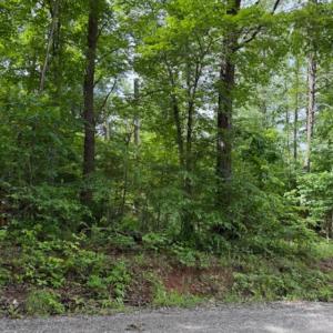 Photo #1 of E. Pamplin Road, Pamplin, VA 1.2 acres