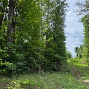 Photo #2 of E. Pamplin Road, Pamplin, VA 1.2 acres