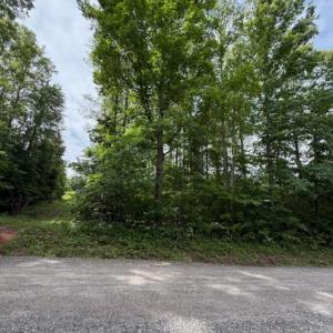 Photo #6 of E. Pamplin Road, Pamplin, VA 1.2 acres