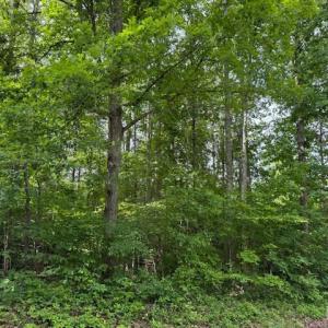 Photo #5 of E. Pamplin Road, Pamplin, VA 1.2 acres