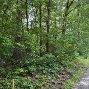 Photo #11 of E. Pamplin Road, Pamplin, VA 1.2 acres