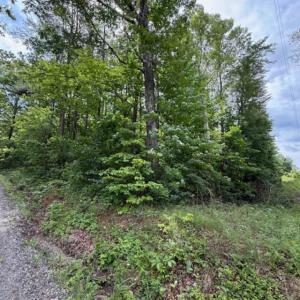 Photo #8 of E. Pamplin Road, Pamplin, VA 1.2 acres