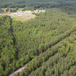 Photo #3 of 161 Kings Highway, Keysville, VA 26.0 acres