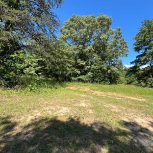 Photo #2 of 156 Bryant Road, Madison Heights, VA 0.8 acres