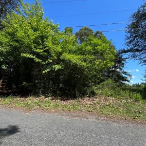 Photo #1 of 156 Bryant Road, Madison Heights, VA 0.8 acres