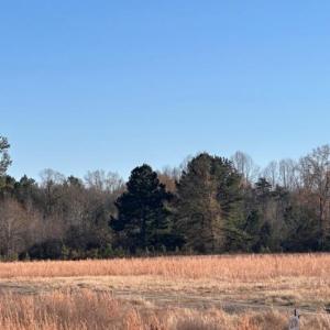 Photo #4 of SMI Way, Farmville, VA 21.6 acres