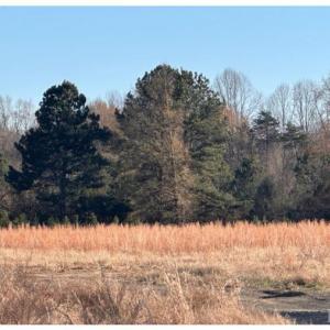 Photo #1 of SMI Way, Farmville, VA 21.6 acres