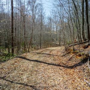 Photo #21 of Christian Mill Creek Rd., Amherst, VA 45.4 acres