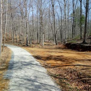 Photo #10 of Christian Mill Creek Rd., Amherst, VA 45.4 acres