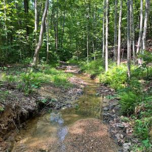 Photo #1 of Christian Mill Creek Rd., Amherst, VA 45.4 acres