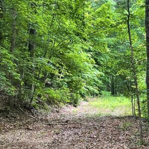 Photo #5 of Christian Mill Creek Rd., Amherst, VA 45.4 acres