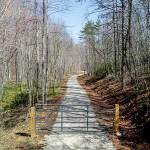 Photo #9 of Christian Mill Creek Rd., Amherst, VA 45.4 acres