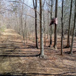 Photo #19 of Christian Mill Creek Rd., Amherst, VA 45.4 acres