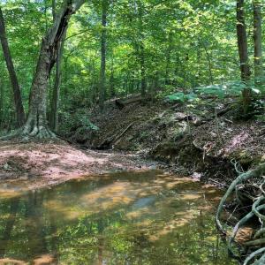 Photo #8 of Christian Mill Creek Rd., Amherst, VA 45.4 acres