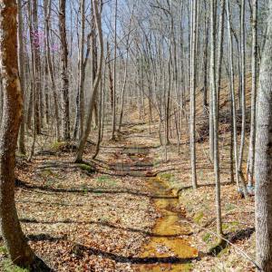 Photo #11 of Christian Mill Creek Rd., Amherst, VA 45.4 acres