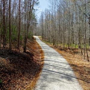 Photo #13 of Christian Mill Creek Rd., Amherst, VA 45.4 acres