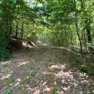 Photo #7 of Christian Mill Creek Rd., Amherst, VA 45.4 acres