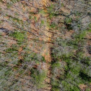 Photo #18 of Christian Mill Creek Rd., Amherst, VA 45.4 acres