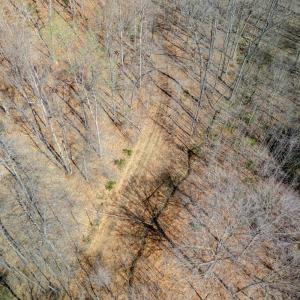 Photo #17 of Christian Mill Creek Rd., Amherst, VA 45.4 acres