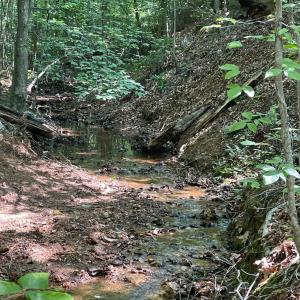 Photo #3 of Christian Mill Creek Rd., Amherst, VA 45.4 acres