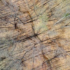 Photo #16 of Christian Mill Creek Rd., Amherst, VA 45.4 acres