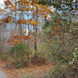 Photo #5 of Major Graham, Wytheville, VA 17.0 acres