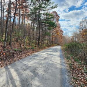 Photo #4 of Major Grahams, Wytheville, VA 22.0 acres