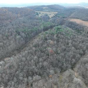 Photo #4 of Major Grahams Road, Wytheville, VA 38.3 acres