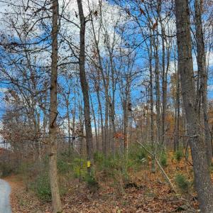 Photo #1 of Major Grahams Road, Wytheville, VA 38.3 acres