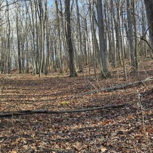 Photo #7 of Major Grahams Road, Wytheville, VA 38.3 acres